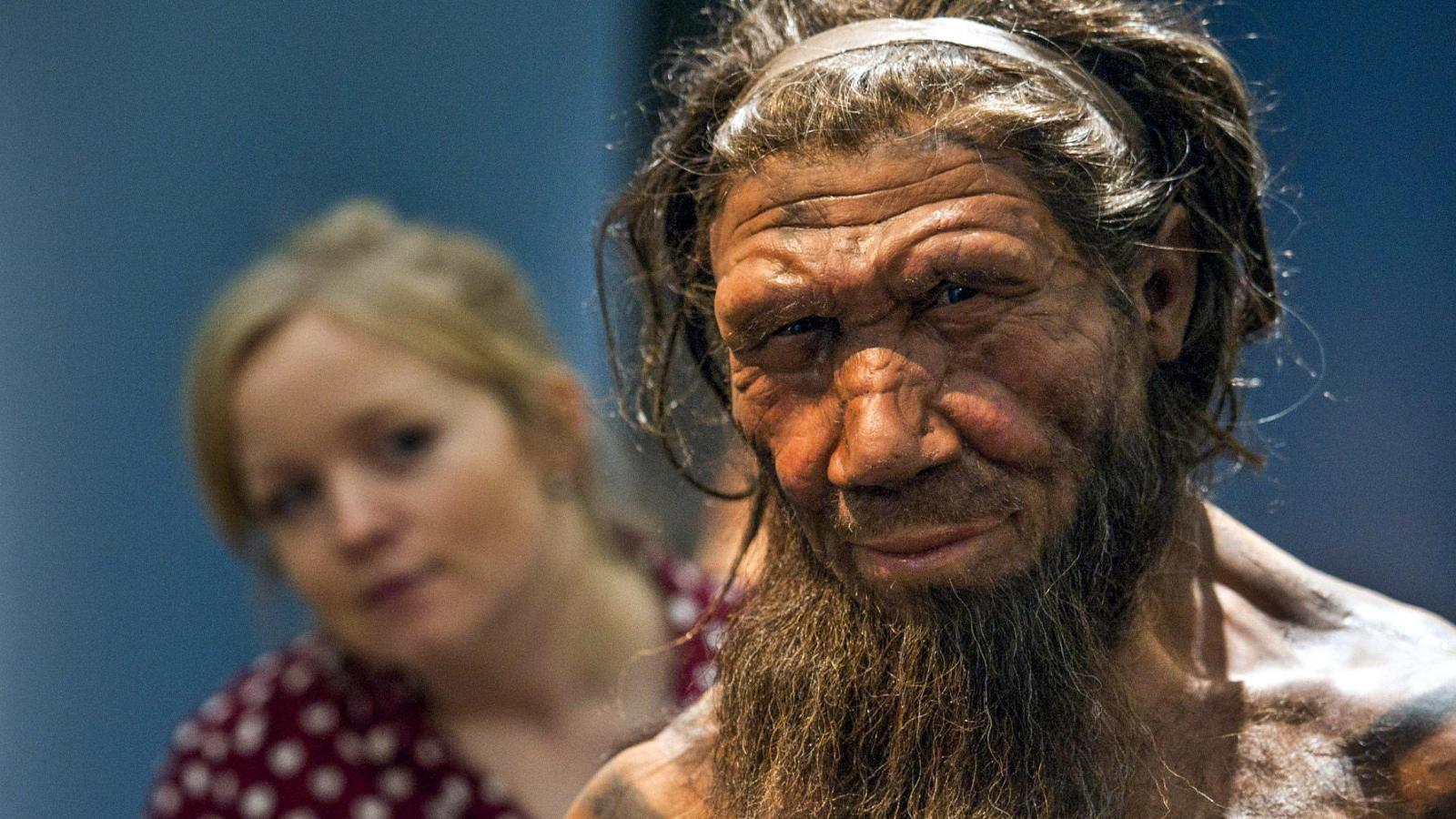 homo neanderthalensis