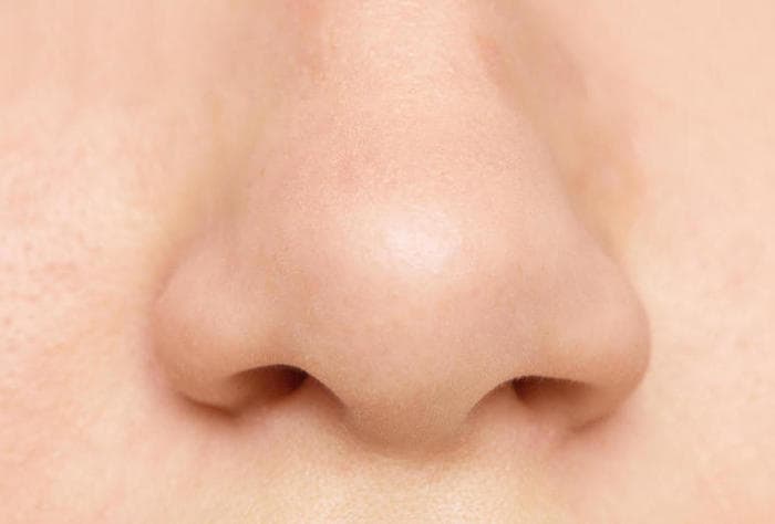 The nose and the sense of smell. How does it work?
